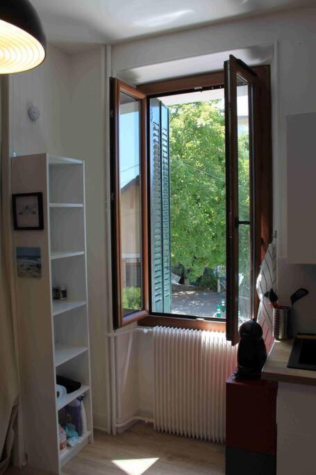 Tres Beau Studio Centre Ville, Au Calme 阿讷西 外观 照片
