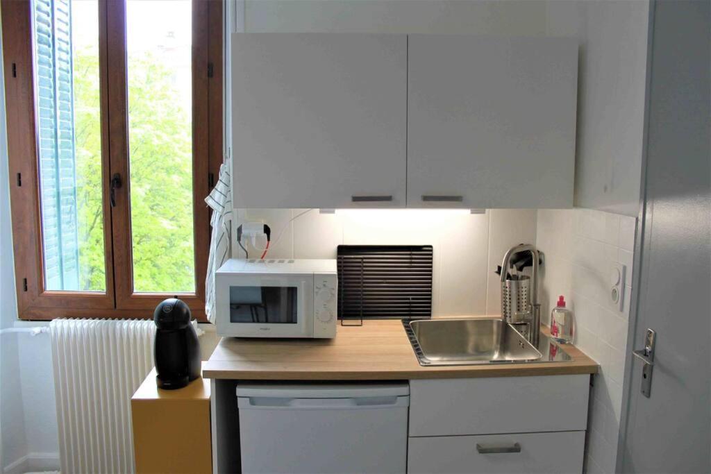 Tres Beau Studio Centre Ville, Au Calme 阿讷西 外观 照片